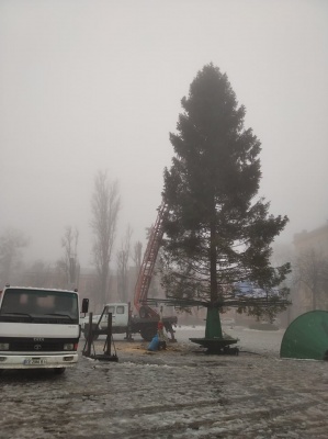 «Прикрасимо і буде люкс!»: у Чернівцях встановили головну ялинку - фото