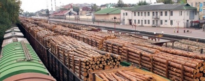 Заборона експорту українського лісу. Міжнародний арбітраж виніс рішення