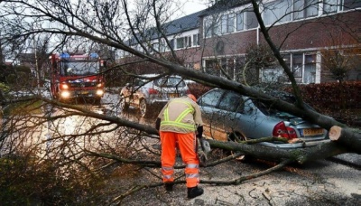 Повалені дерева та затоплені будинки. Європа потерпає від шторму "Белла" - відео