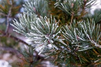Синоптики розповіли, коли настануть люті морози в Україні Синоптики розповіли, коли настануть люті морози в Україні