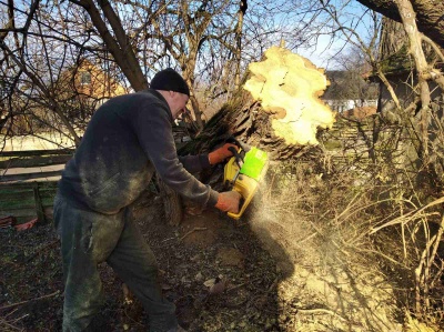 «Без дров не вижили б»: як буковинці економлять газ та світло - фото