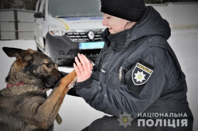 У Чернівцях перша поліцейська-кінолог тренує німецьку вівчарку – фото, відео