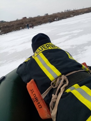 Примерзли до криги: на Буковині рятувальники допомогли лебедям