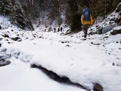 «Неймовірна краса!»: чернівчанка сфотографувала замерзлі Смугарські водоспади - фото, відео