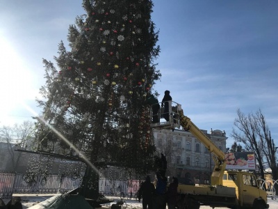 Головну ялинку Чернівців почали розбирати - фото