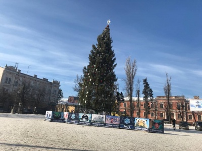 Головну ялинку Чернівців почали розбирати - фото