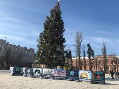 Головну ялинку Чернівців почали розбирати - фото