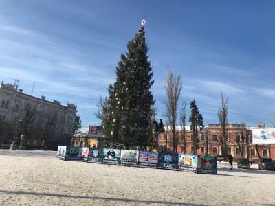 Головну ялинку Чернівців почали розбирати - фото