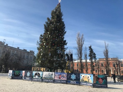 Головну ялинку Чернівців почали розбирати - фото