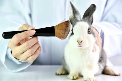 В Україні заборонили тестування косметики на тваринах