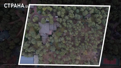 ЗМІ показали елітний маєток співачки з Буковини під Києвом  
