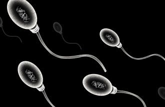 Лікар вказав на шість добавок, які зроблять сперму більш сильною і здоровою