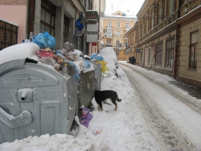 У Клічука взялися перевіряти роботу підприємства, що відповідає за вивіз сміття у Чернівцях
