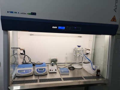 У Чернівцях у "ковідній" лікарні відкрили нову лабораторію