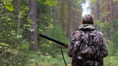 Загубив телефон із світлиною вбитого ведмедя: з’явилося розслідування щодо браконьєрства у лісах Буковини