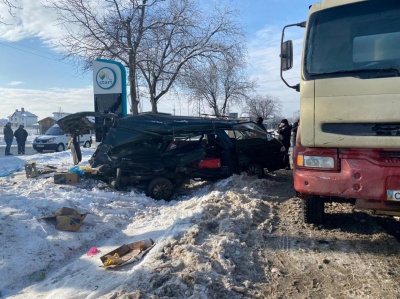 Спалах коронавірусу у школі та порятунок лебедів. Головні новини за минулу добу