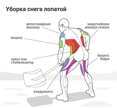 Флешмоб від Обшанського: чиновник закликав чернівчан прибрати місто від снігу