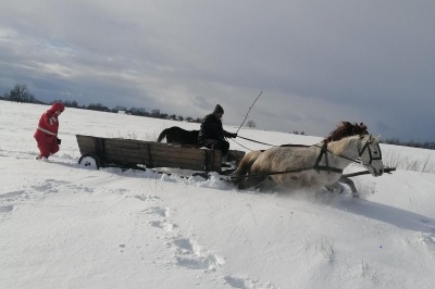 Підводою через снігові замети: на Житомирщині "швидка" не змогла дістатися до хворої, на підмогу прийшли коні 