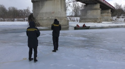 У Чернівцях співробітники ДСНС врятували лебедя, який примерз лапами до криги – фото