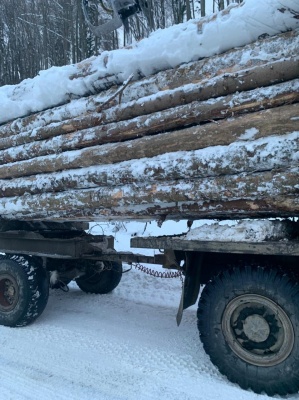 На Буковині прикордонники виявили вантажівку із нечипованою деревиною