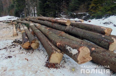 На Буковині поліція виявила підпільний склад деревини - фото