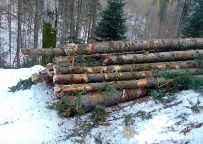 На Буковині поліція виявила підпільний склад деревини - фото