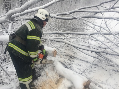 Негода на Буковині наробила біди: рятувальники допомогли водіям