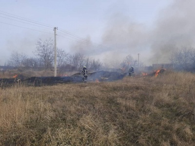 Горять гектари землі: на Буковині почалися пожежі через суху траву 