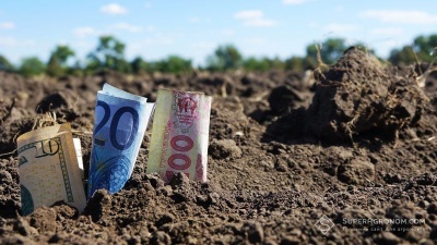 Ринок землі: назвали вартість гектара ріллі у Чернівецькій області