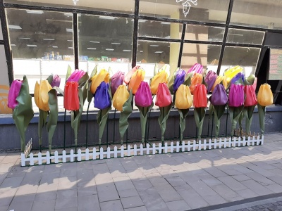Різнокольорові тюльпани у центрі міста: біля одного із супермаркетів поставили весняну композицію