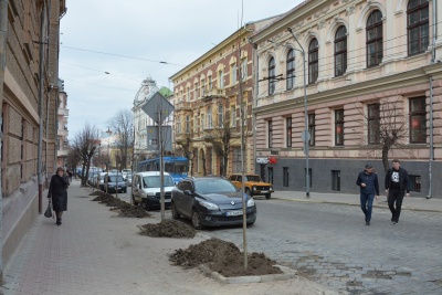 «Весна прийшла – саджати будемо»: депутат закликав чернівчан до озеленення міста