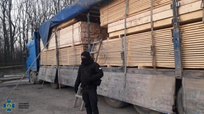 Щомісяця вивозили до 10 вантажівок: на Буковині викрито масштабне розкрадання деревини смереки