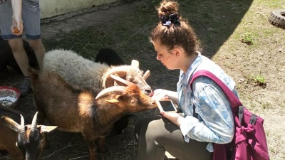 У Чернівцях дітей запрошують вигуляти тварин на зоомайданчику пам'яті Василя Аксенина - фото