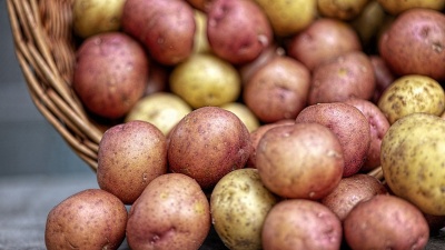 Картопля в Україні несподівано подешевшала