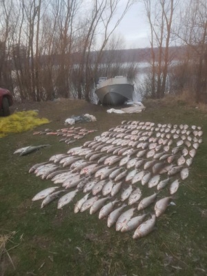 На Буковині рибпатруль затримав двох браконьєрів, які наловили риби на 1,6 млн грн