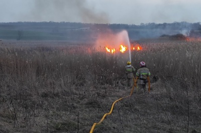Буковина у вогні: за добу в області майже 20 разів горіла суха трава