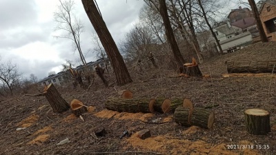 В спальному районі Чернівців масово вирубали дерева