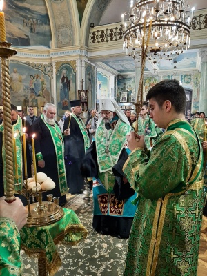 У деяких храмах Буковини вже освятили вербу – фото