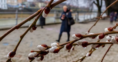 Заморозки та сніг з дощем: якою буде погода на початку тижня на Буковині