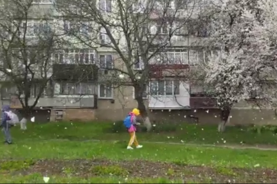 Зима наприкінці квітня: у місті на Буковині випав лапатий сніг - відео