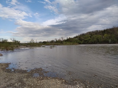 Розлилась вода: у Чернівцях помітно піднявся рівень річки Прут – фото