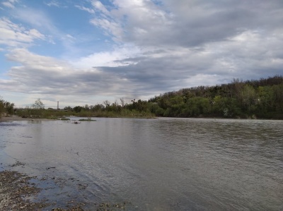 Розлилась вода: у Чернівцях помітно піднявся рівень річки Прут – фото