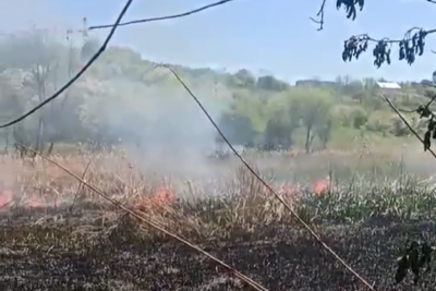 У найбільшому парку Чернівців сталася пожежа, рятувальники понад 4 години гасили вогонь