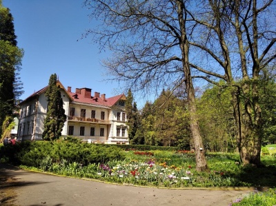 Ботанічний сад у Чернівцях відчинив двері для відвідувачів: як потрапити - фото