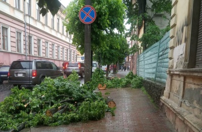 Нічна негода в Чернівцях: у центрі міста дерево впало на тротуар