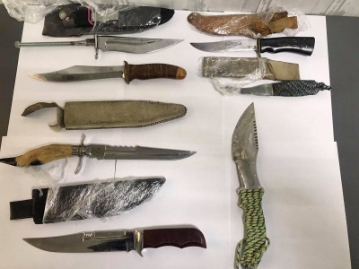 Ввозив колекцію ножів: на Буковині митники вилучили холодну зброю
