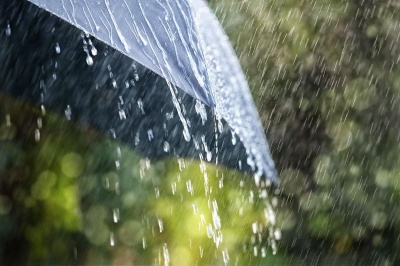 Знову дощі та грози: якою буде погода на Буковині наступного тижня