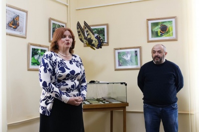 «Літаючі квіти»: у музеї Чернівців відкрили виставку метеликів - фото