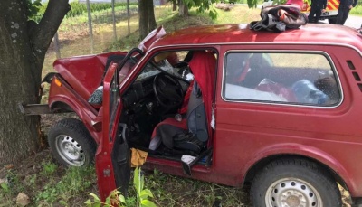 ДТП на Буковині: легковик врізався у дерево, пасажирку забрали в лікарню у важкому стані – фото