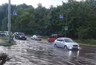 Підтоплена вулиця через зливу та ведмідь поблизу Чернівців. Головні новини минулої доби